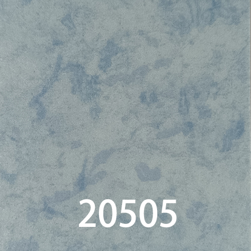 20505封面圖